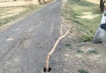 गड्ढों में ‘लकड़ी का अलर्ट:प्रधानमंत्री सड़क बदहाल, 4 फीट गहरे गड्ढे… हादसों से बचाने ग्रामीणों ने लगाया देसी संकेतक