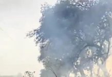 MP News: खेत में लगी आग, मंत्री खुद दौड़कर पहुंचे; कार्यकर्ताओं संग बुझाई आग