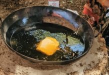 ऊर्जा संकट के बीच इंदौर के धर्म प्रेमियों की अनूठी पहल: मिट्टी के चूल्हों पर 4000 श्रद्धालुओं के लिए बनी महाप्रसादी