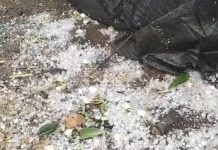 खरगोन में मौसम ने ली करवट, बारिश के साथ गिरे ओले; किसानों की बढ़ी चिंता