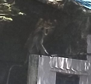 WhatsApp Image 2026 03 07 at 18.22.49