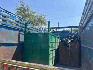 WhatsApp Image 2026 03 07 at 18.30.15