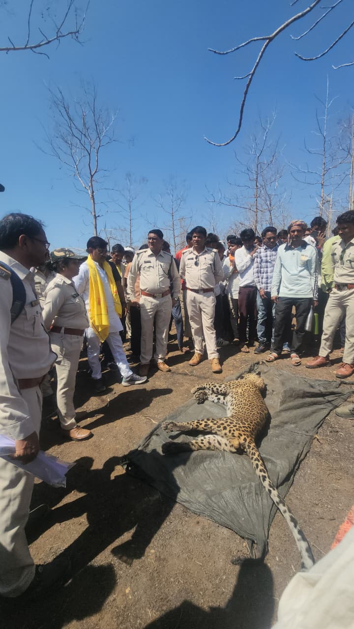 WhatsApp Image 2026-03-26 at 07.01.33