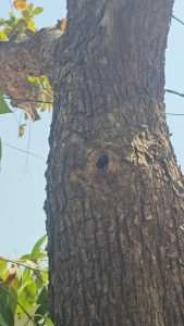 WhatsApp Image 2026 03 29 at 18.53.42 1 WhatsApp Image 2026 03 29 at 18.53.42 1