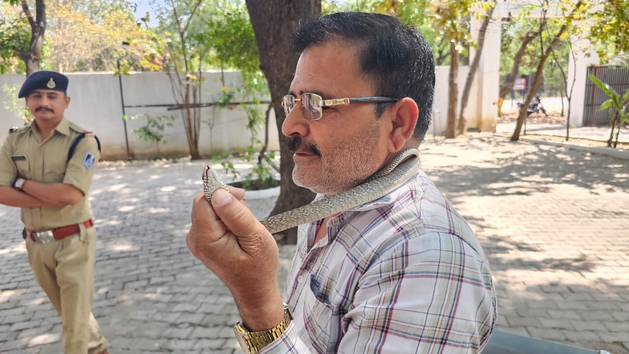 WhatsApp Image 2026-03-29 at 18.53.43