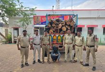 शामगढ़ पुलिस की कार्रवाई: 40 क्विंटल अवैध खैर की लकड़ी के साथ तस्कर गिरफ्तार