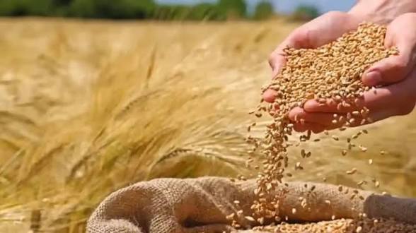 images - 2026-03-21T122712.401