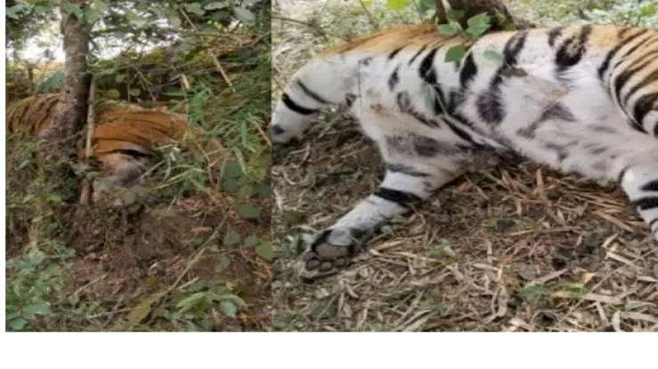 images - 2026-03-22T075642.691