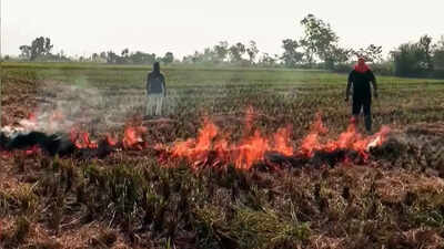 parali-jalaane-par-karvaee