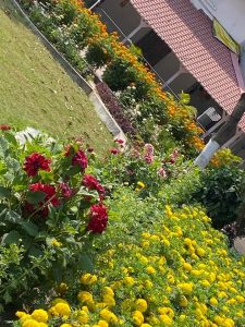 637479017 2056612974916673 8961090381152429897 n 637479017 2056612974916673 8961090381152429897 n