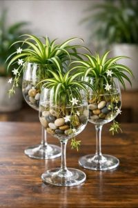 672683898 122195344700486214 6391705427337458915 n