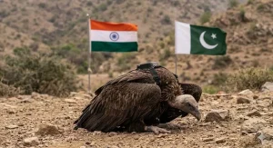 BHOPAL VULTURE RELEASE