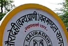 सतपुड़ा के बाद अब नौरादेही से रेडियो कॉलर वाली बाघिन लापता,वन विभाग में हड़कंप