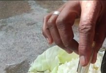 छतरपुर में गोभी के अंदर निकला सांप, सब्जी काटते समय मचा हड़कंप..