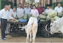 Compassion : सेवा का सर्वोच्च धर्म श्री श्वेतांबर जैन वरिष्ठ सेवा समिति की पहल!