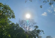 खजुराहो 46°C के साथ सबसे गर्म, 10 साल का रिकॉर्ड टूटा; नौगांव 45.5°C पर दूसरा सबसे तपता शहर