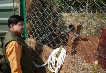 MP’s Wildlife Becomes Even More Beautiful: CM डॉ.यादव ने कान्हा टाइगर रिजर्व में छोड़े 4 जंगली भैसें, बालाघाट जिले के सूपखार-टोपला क्षेत्र में हुआ कार्यक्रम