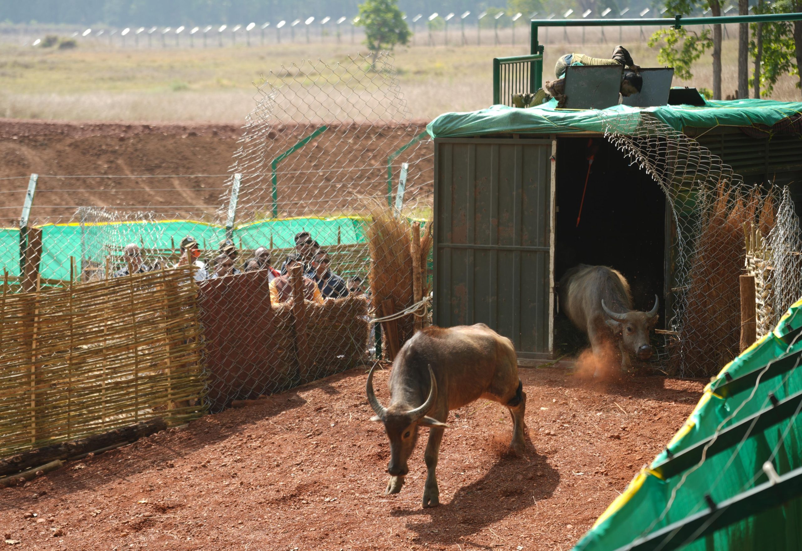 IMG 20260428 WA0051 scaled