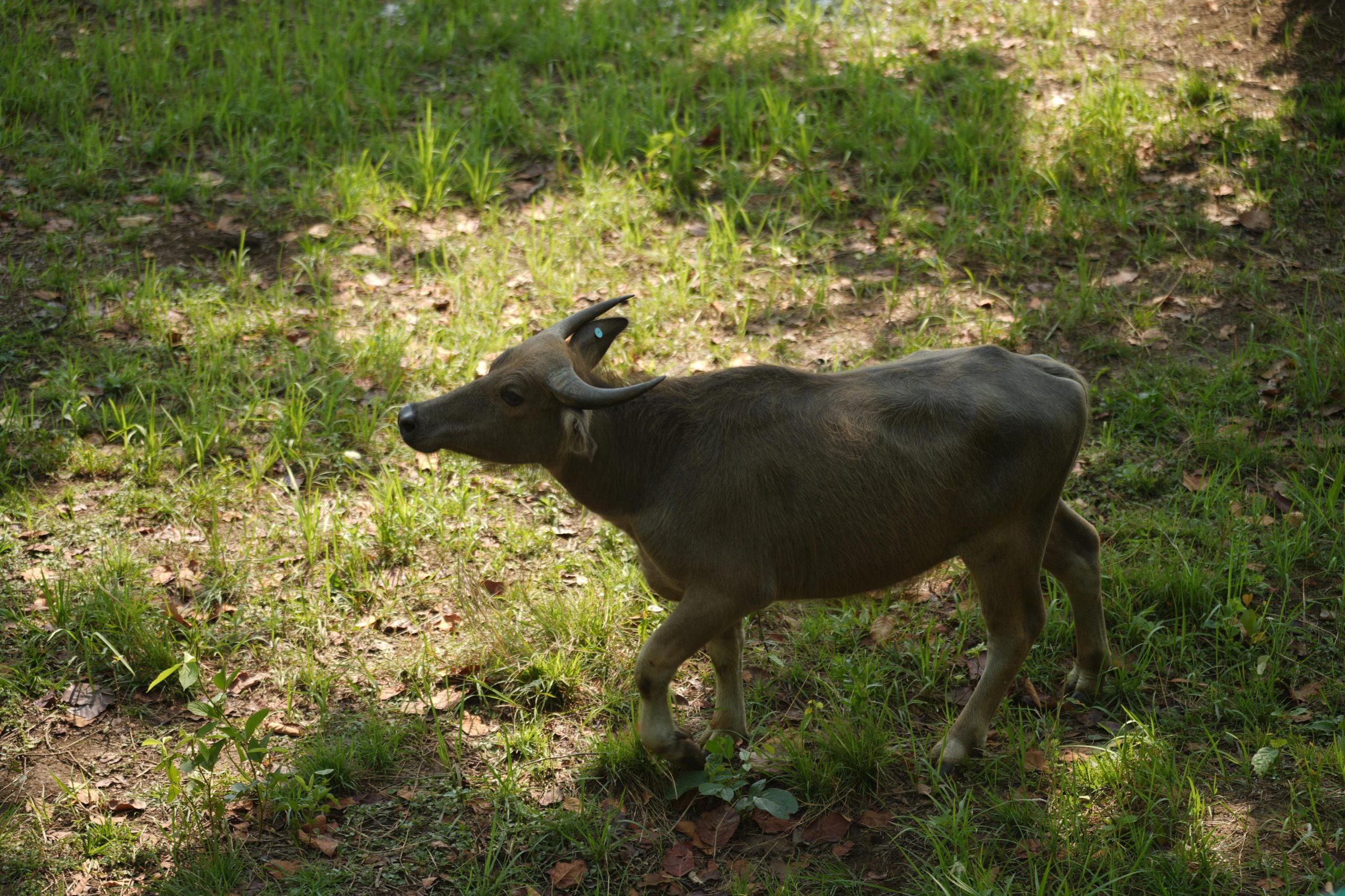 IMG 20260428 WA0052 scaled