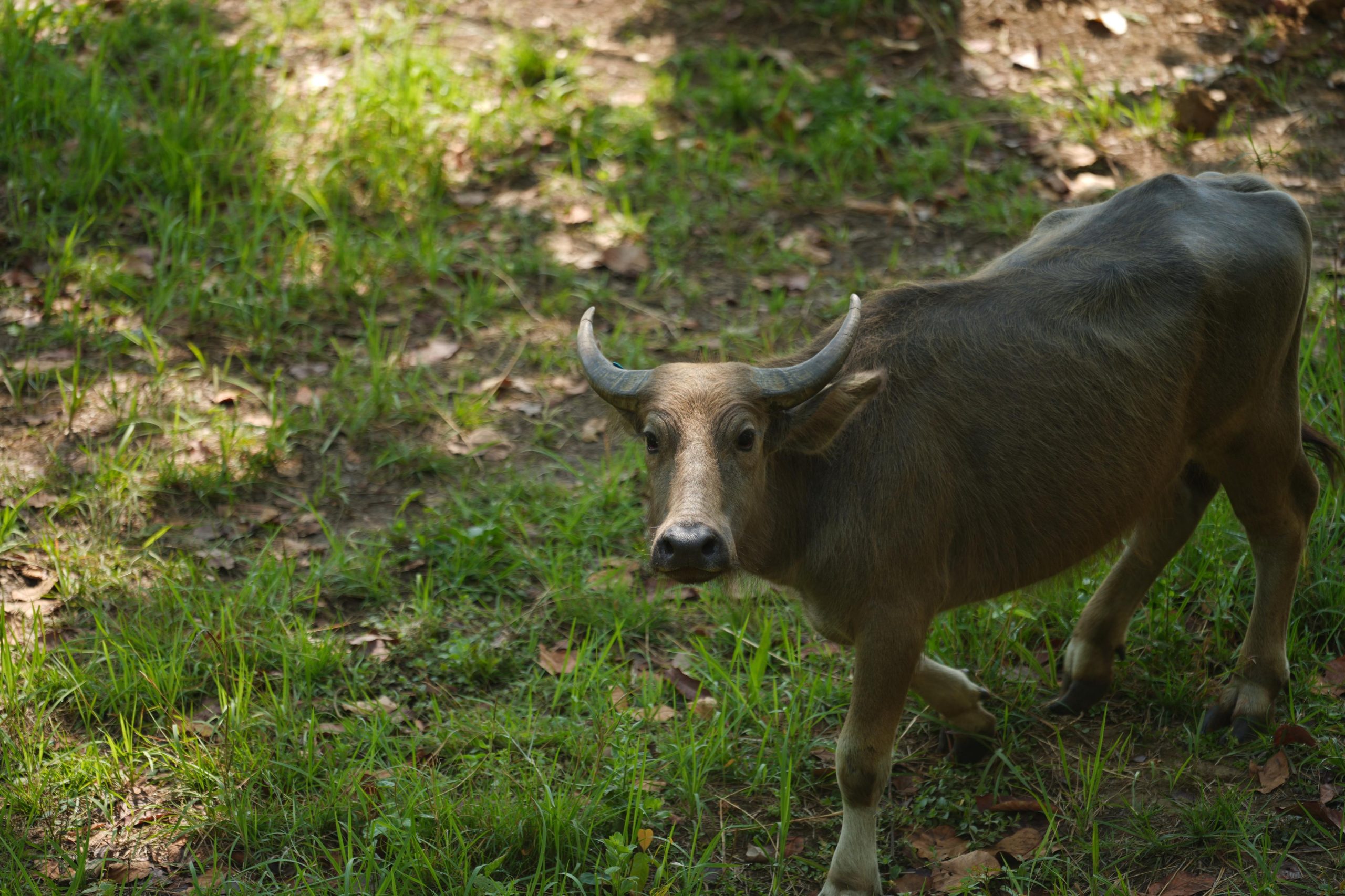 IMG 20260428 WA0053 scaled