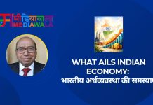 What Ails Indian Economy: भारतीय अर्थव्यवस्था की समस्याएँ