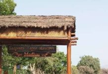 सतपुड़ा टाइगर रिजर्व, मटकुली में एक और बाघ शावक मृत मिला