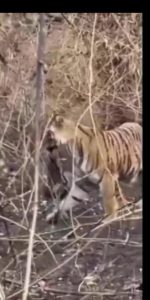 WhatsApp Image 2026 04 06 at 18.46.07 WhatsApp Image 2026 04 06 at 18.46.07