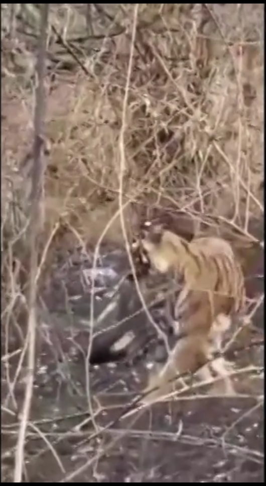 WhatsApp Image 2026-04-06 at 18.47.47