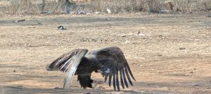 WhatsApp Image 2026 04 12 at 21.02.21 1