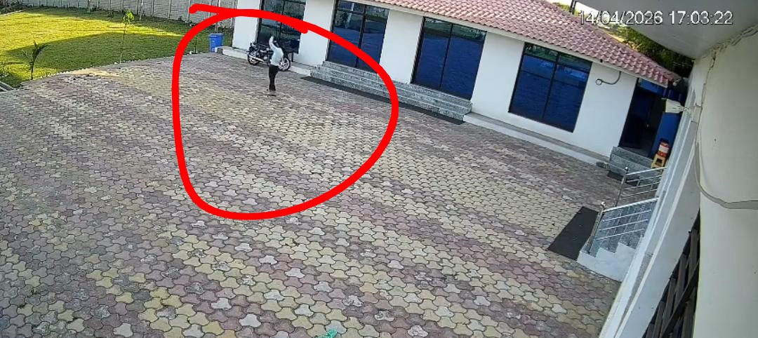 WhatsApp Image 2026-04-15 at 13.57.34