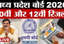 इंदौर जिले में 10वीं एवं 12वीं के परीक्षा परिणाम घोषित, शासकीय विद्यालयों का बेहतर प्रदर्शन
