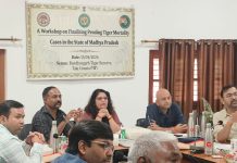 बांधवगढ़ टाइगर रिजर्व में कार्यशाला: बाघ मृत्यु के प्रकरणों में त्वरित निराकरण पर विशेष जोर, कई महत्वपूर्ण बिंदुओं पर नहीं हुई चर्चा!