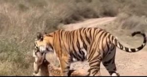 WhatsApp Image 2026 04 18 at 19.28.18