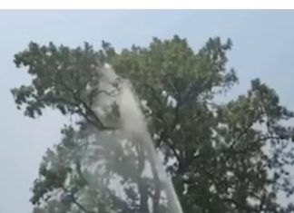 साहब का पालतू तोता उड़ गया ,पेड़ से उतारने के लिए पहुंची फायर ब्रिगेड, हजारों लीटर पानी बहाया The Sahib's pet parrot flew away; the fire brigade arrived to retrieve it from a tree and expended thousands of liters of water.