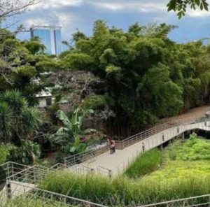 WhatsApp Image 2026 04 22 at 18.16.50