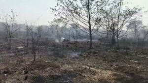 WhatsApp Image 2026 04 22 at 18.20.28