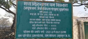 WhatsApp Image 2026 04 22 at 18.20.29 1