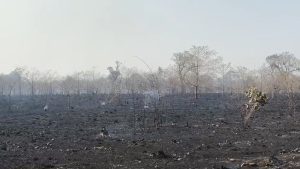 WhatsApp Image 2026 04 22 at 18.20.29