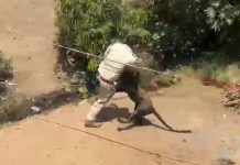 तेंदुआ अचानक बस्ती में घुसा,राहगीरों पर किया हमला, महिला सहित 4 गंभीर घायल