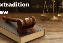 मध्य प्रदेश में पहली बार भगोड़े को वापस लाने प्रत्यार्पण के लिए प्रस्ताव, 3600 करोड़ रुपये के इन्वेस्टमेंट फ्रॉड के मास्टर माइंड को वापस लाएगी STF