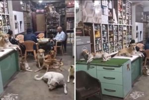 WhatsApp Image 2026 04 27 at 18.39.18