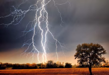 MP में मौसम बिगड़ा :बिजली गिरने से 4 की मौत: सिवनी-रीवा में बिजली कड़की, ग्वालियर-बैतूल-सागर में ओला-बारिश