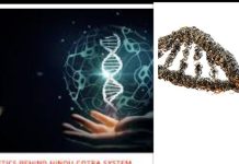 गोत्र और जेनेटिक्स का अटूट संबंध – समान गोत्र में शादी क्यों है वर्जित?