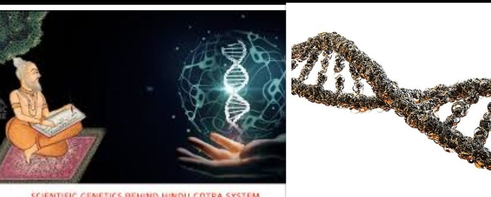 collage (11) Gotra and Genetics