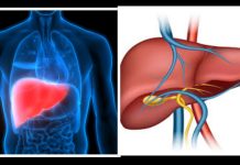 Liver Protection: मानवता के आरोग्य का महामंत्र
