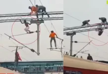 Viral Video;मनमाड रेलवे स्टेशन पर हाई वोल्टेज ड्रामा, ओवरहेड तार पर चढ़ा मानसिक रूप से अस्थिर शख्स