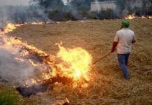 गर्मियों में आग पर हो जल्दी काबू, राज्य शासन ने नगरीय निकायों को 22 करोड़ रुपए किए आवंटित