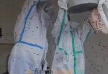 Principal Dr. M.M. Pukar : जिन्होंने चूरू मेडिकल कॉलेज बिल्डिंग से खुद हटाए 7 बड़े मधुमक्खियों के छत्ते, देखें वीडियो!