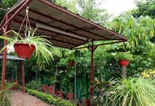 इंदौर : सम्पूर्ण भारत और विश्व के लिए “धरती संरक्षण मॉडल”