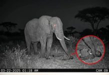 A Heart-Touching Incident: वो अलविदा कहने नहीं आया था…वो यह यक़ीन करने आया था कि—